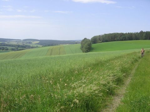 Foto 20